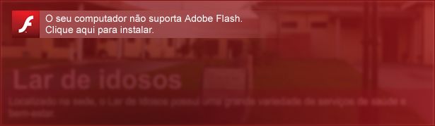 Adobe Flash